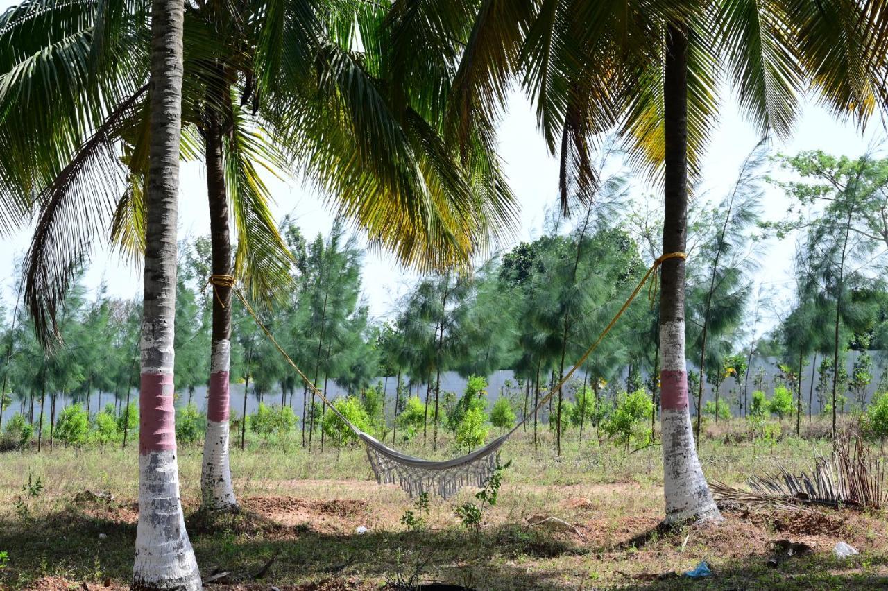 Encanto Farmstay Mysore Extérieur photo